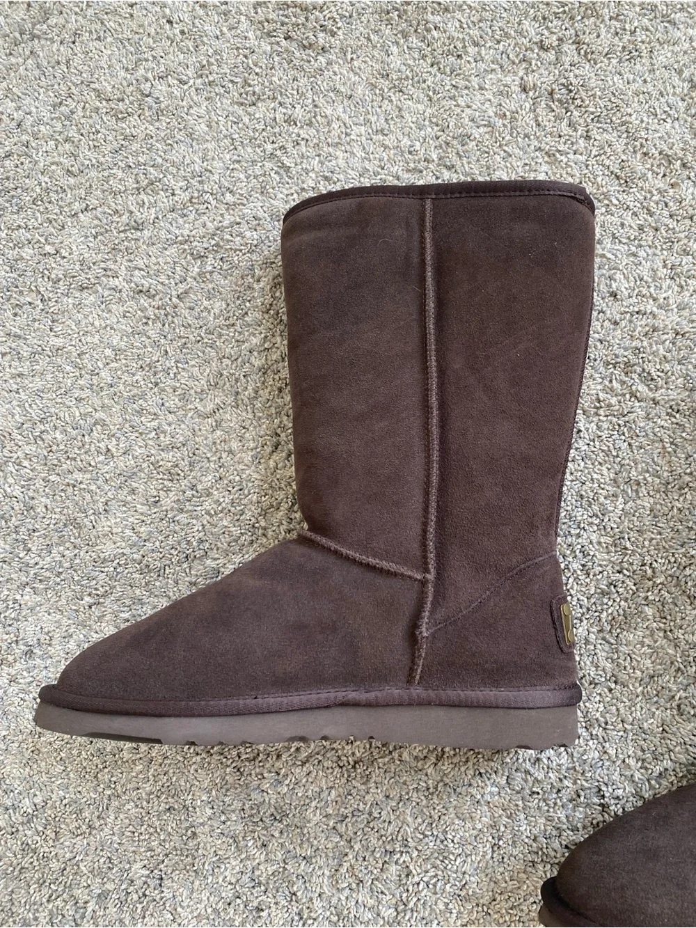 Chocolate Brown Plush Fuzzy Boots